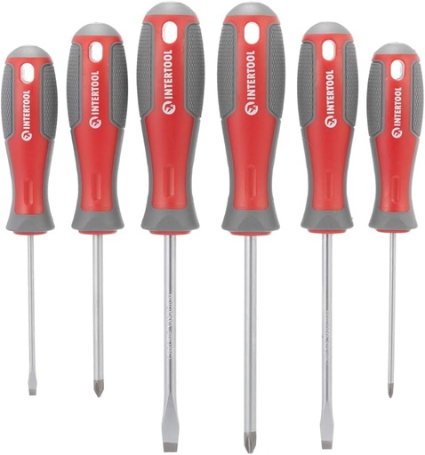 Screwdriver Set (Phillips and Flathead)